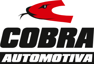 Cobra_rolamentos